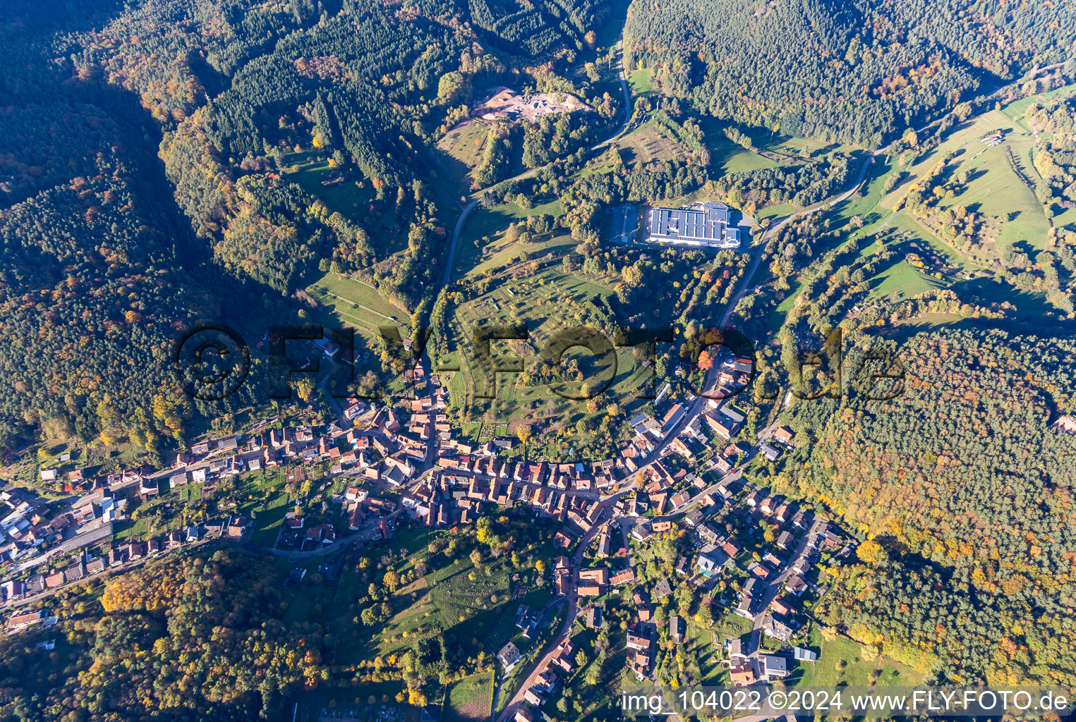 Vue oblique de Schwanheim dans le département Rhénanie-Palatinat, Allemagne