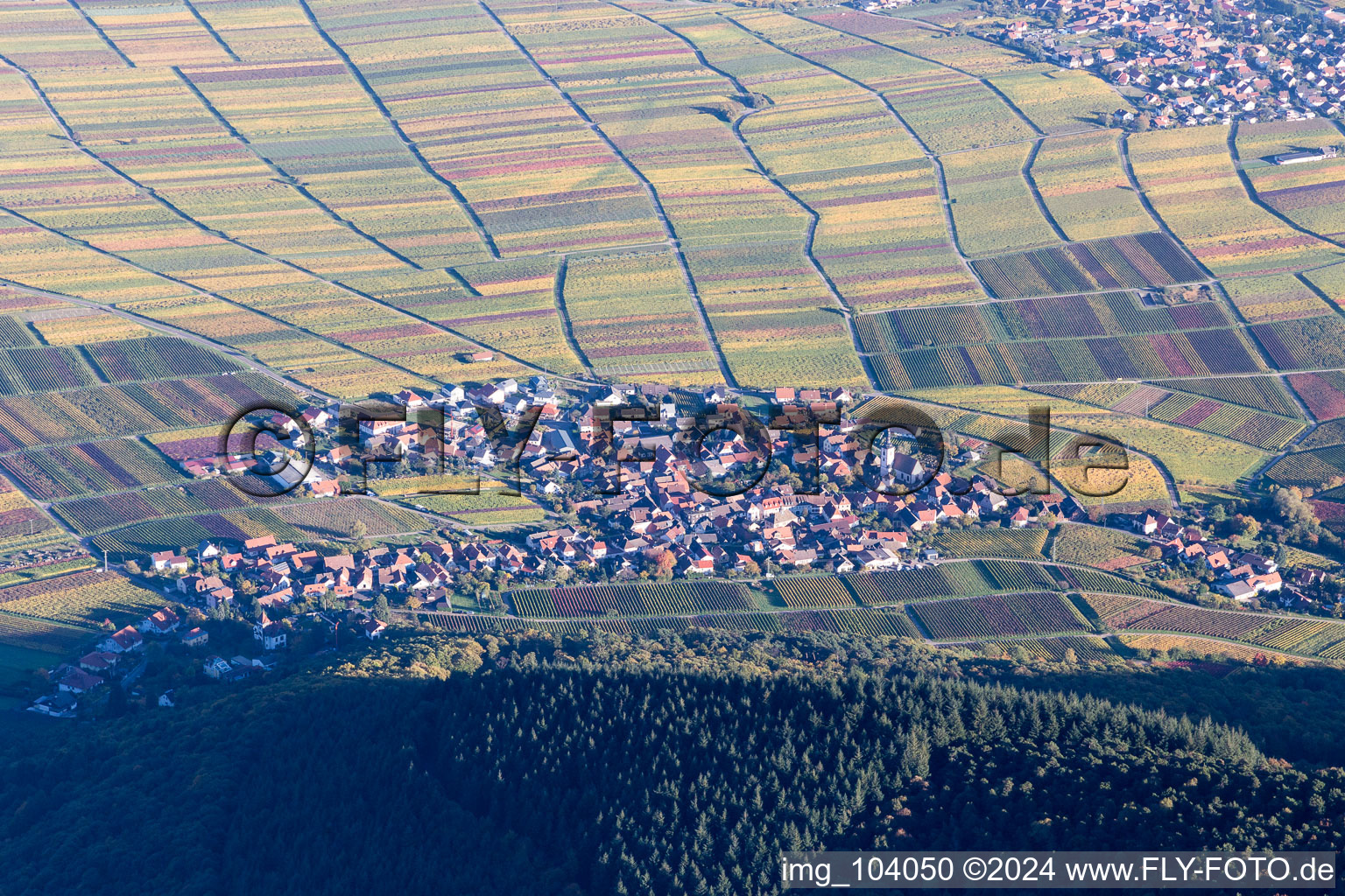 Vue aérienne de De l'ouest à Weyher in der Pfalz dans le département Rhénanie-Palatinat, Allemagne