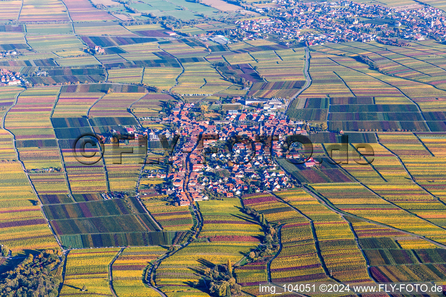 Vue aérienne de Quartier Rhodt in Rhodt unter Rietburg dans le département Rhénanie-Palatinat, Allemagne