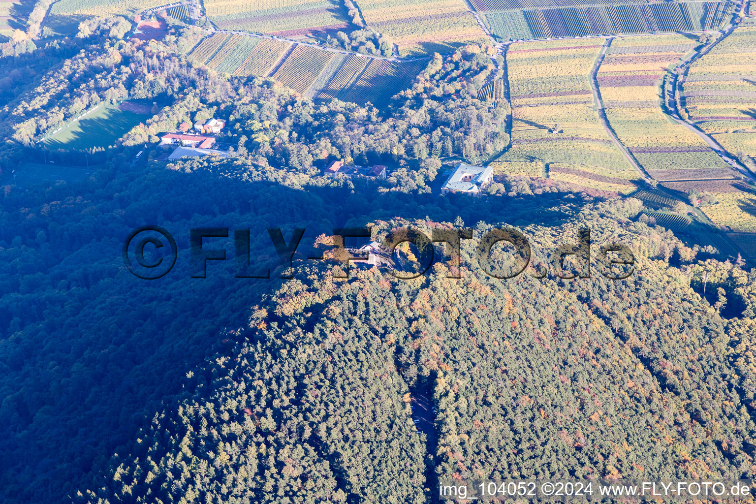 Vue aérienne de Ruines du château de Rietburg à Rhodt unter Rietburg dans le département Rhénanie-Palatinat, Allemagne