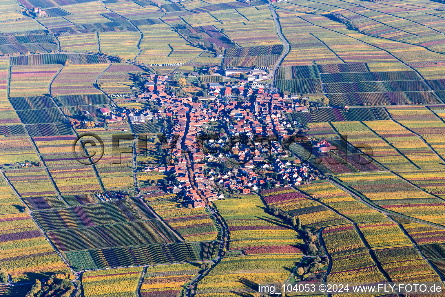 Vue aérienne de Des vignobles aux couleurs de l'automne à le quartier Rhodt in Rhodt unter Rietburg dans le département Rhénanie-Palatinat, Allemagne