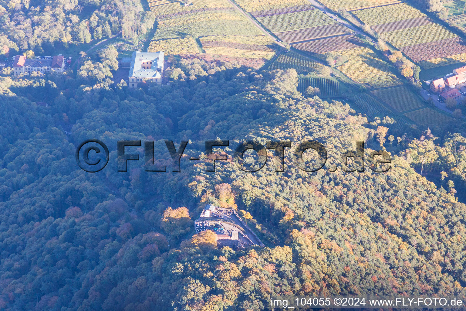 Rietbourg à Rhodt unter Rietburg dans le département Rhénanie-Palatinat, Allemagne vue du ciel