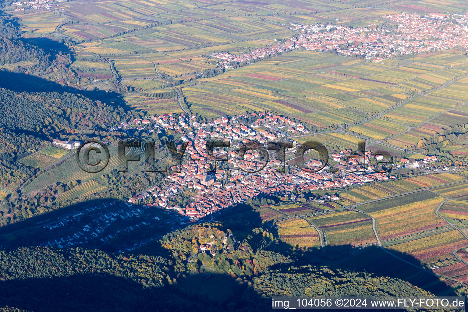 Vue aérienne de Saint-Martin à Sankt Martin dans le département Rhénanie-Palatinat, Allemagne