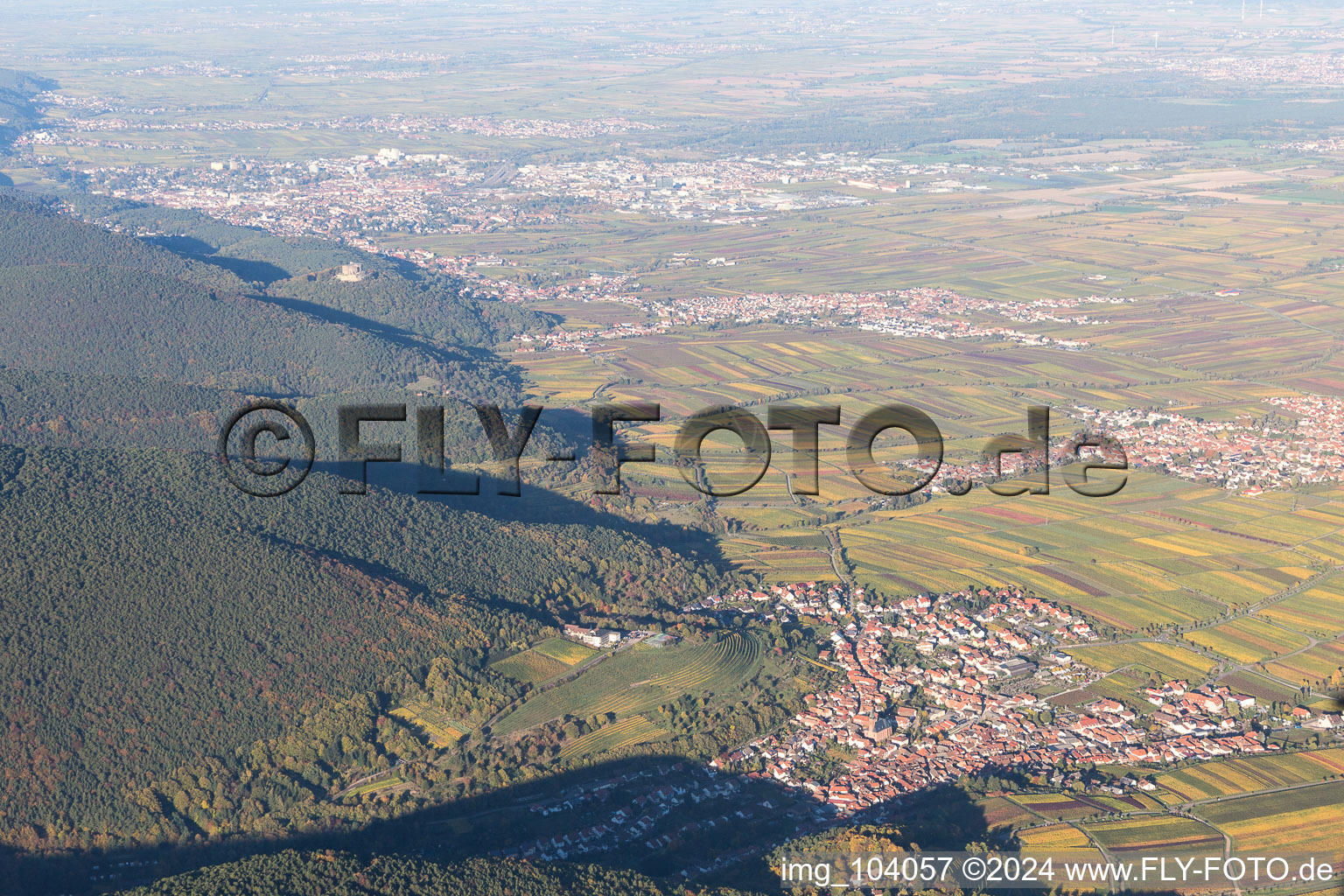 Photographie aérienne de Saint-Martin à Sankt Martin dans le département Rhénanie-Palatinat, Allemagne