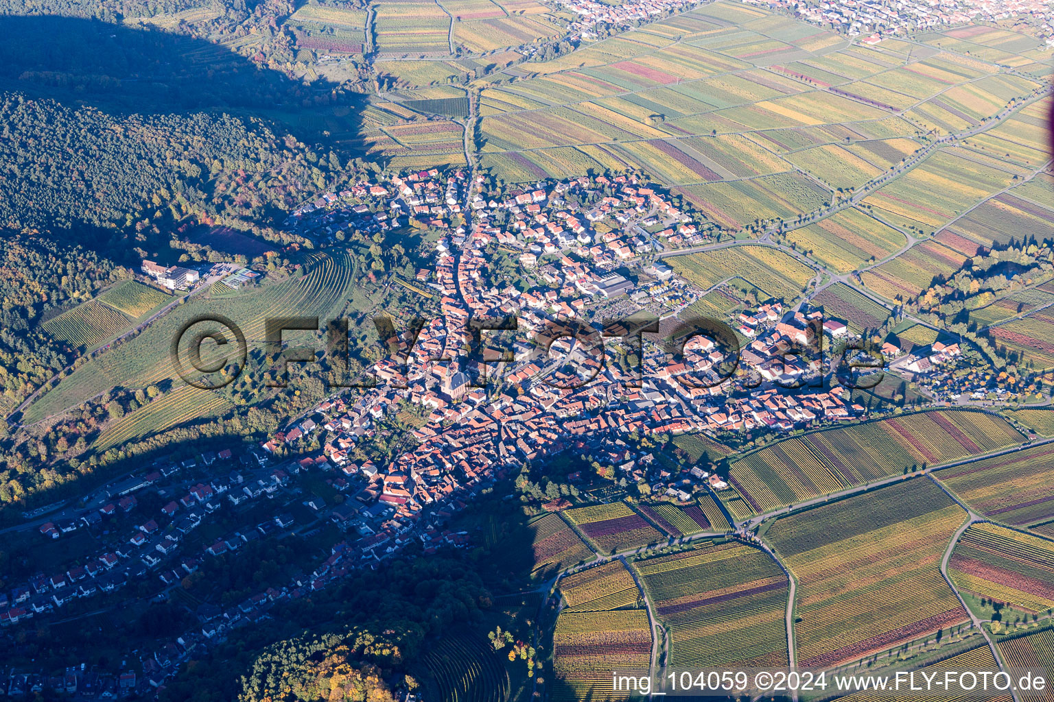 Sankt Martin dans le département Rhénanie-Palatinat, Allemagne vue d'en haut