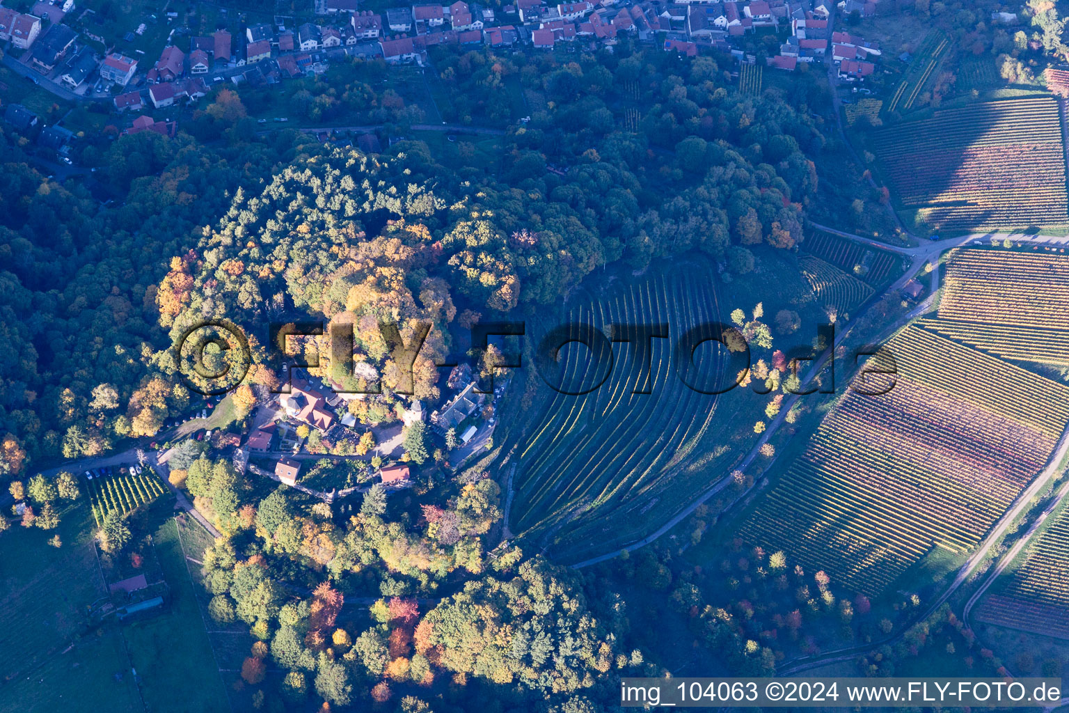 Sankt Martin dans le département Rhénanie-Palatinat, Allemagne depuis l'avion