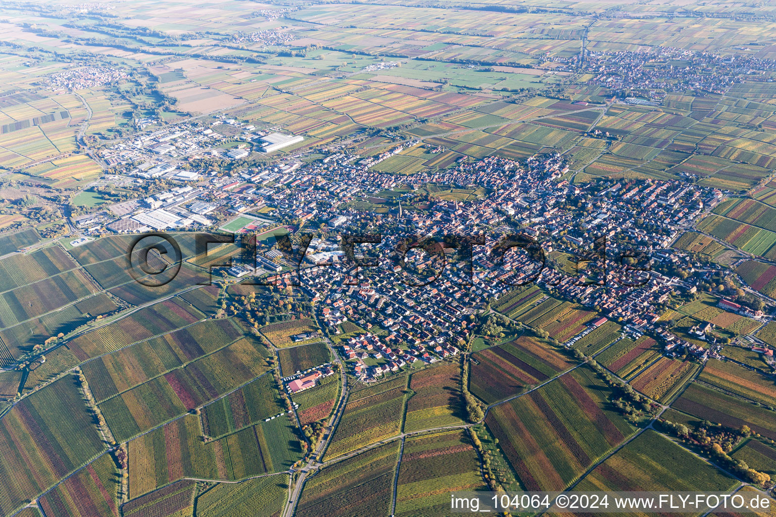 Vue d'oiseau de Sankt Martin dans le département Rhénanie-Palatinat, Allemagne