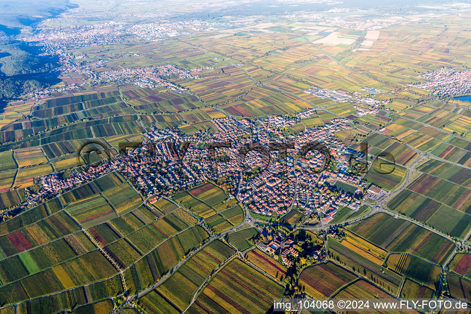Vue aérienne de Vue des rues et des maisons des quartiers résidentiels à Maikammer dans le département Rhénanie-Palatinat, Allemagne