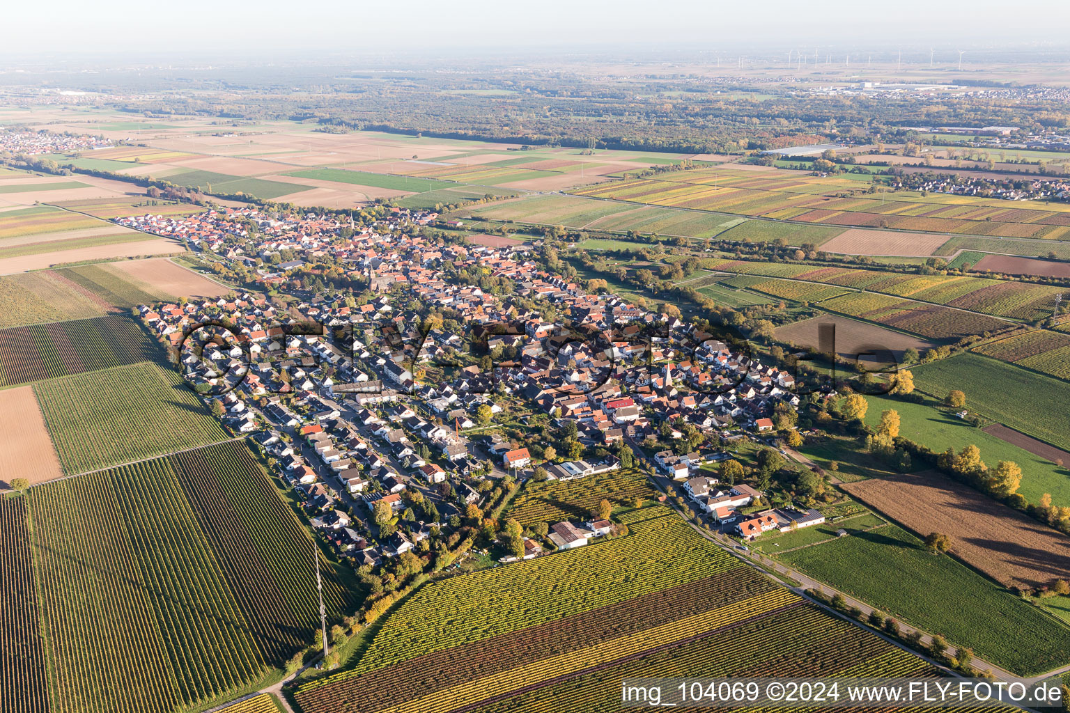 Vue aérienne de Essingen dans le département Rhénanie-Palatinat, Allemagne