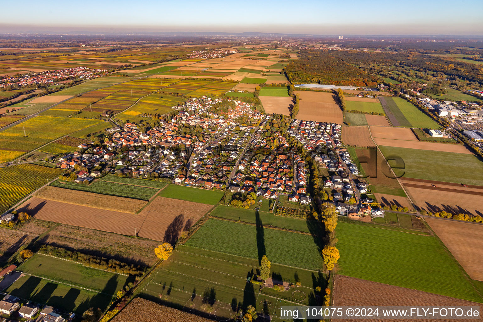 Vue aérienne de De l'ouest à Bornheim dans le département Rhénanie-Palatinat, Allemagne