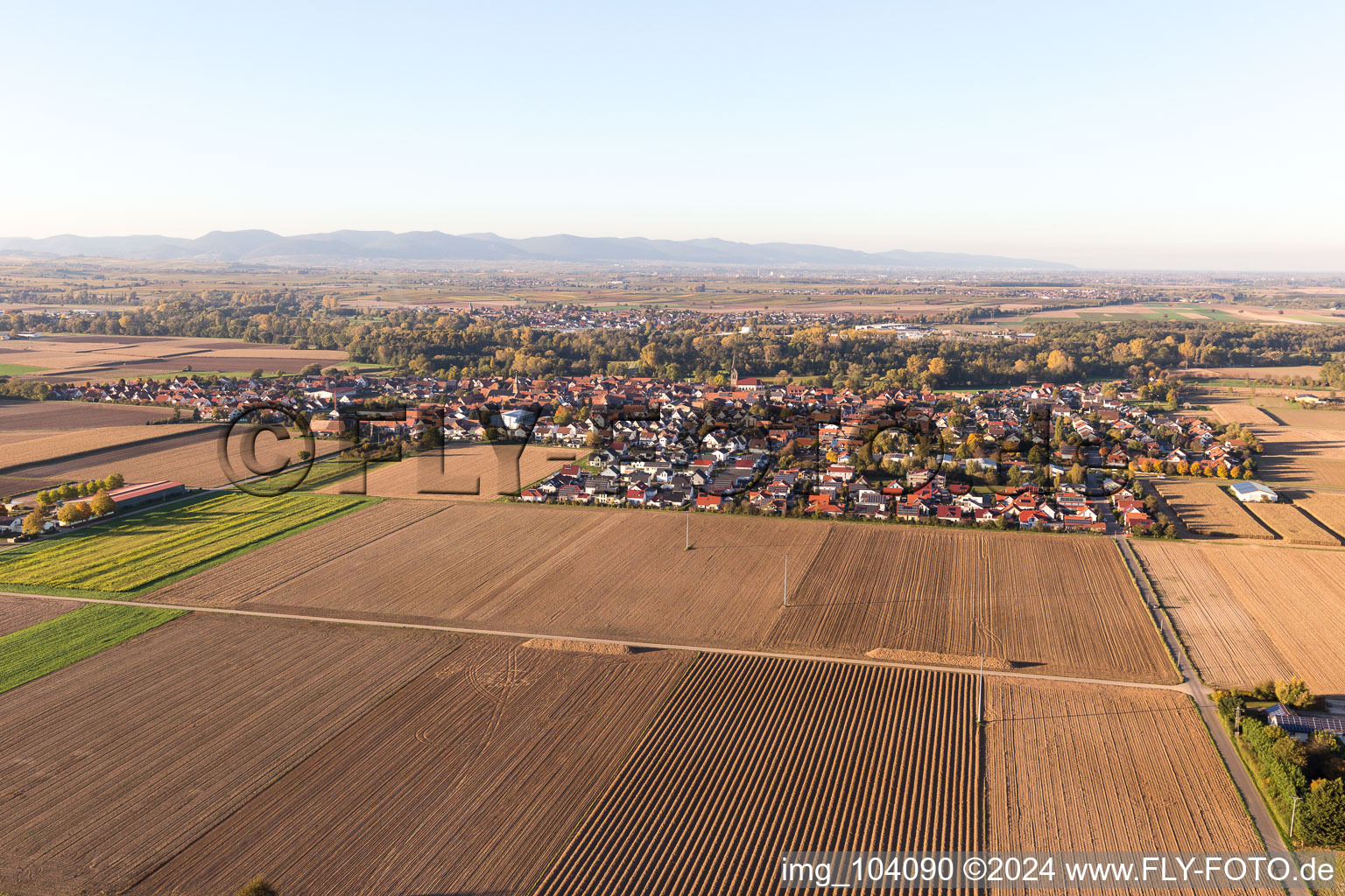 Steinweiler dans le département Rhénanie-Palatinat, Allemagne du point de vue du drone