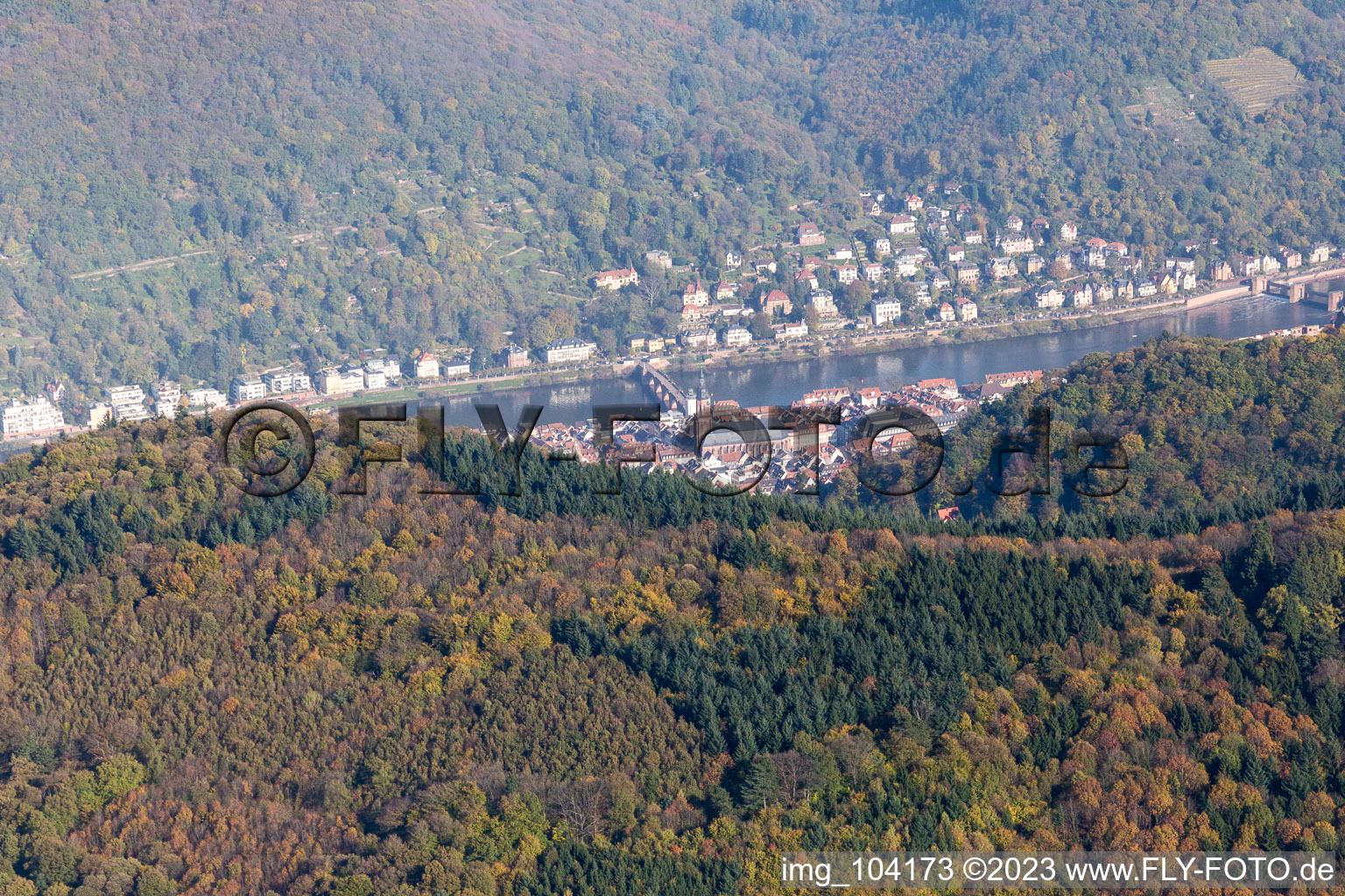 Vue aérienne de Vallée du Neckar à le quartier Kernaltstadt in Heidelberg dans le département Bade-Wurtemberg, Allemagne