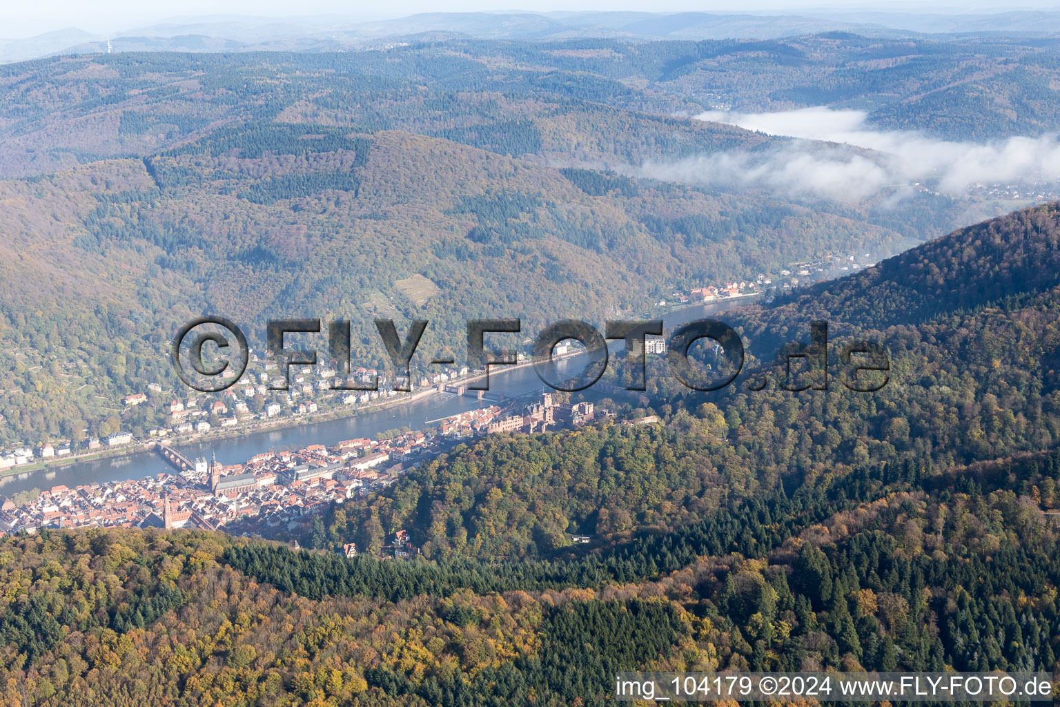 Photographie aérienne de Vallée du Neckar à le quartier Kernaltstadt in Heidelberg dans le département Bade-Wurtemberg, Allemagne