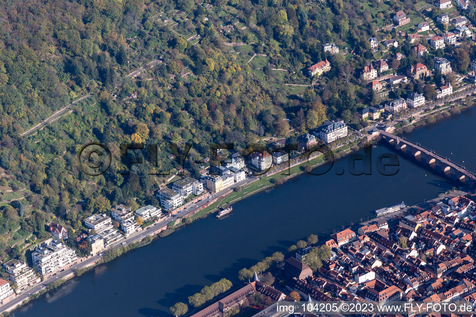 Vue aérienne de Vieux Pont, Neuenheimer Landstr à le quartier Neuenheim in Heidelberg dans le département Bade-Wurtemberg, Allemagne