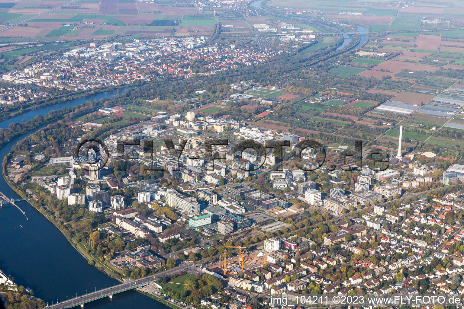 Vue aérienne de Université à le quartier Neuenheim in Heidelberg dans le département Bade-Wurtemberg, Allemagne