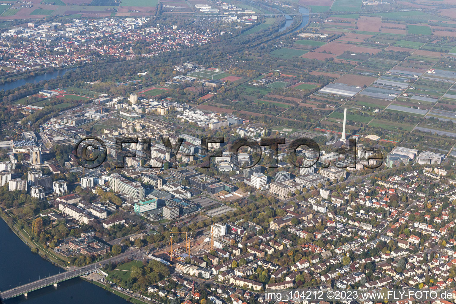 Photographie aérienne de Université à le quartier Neuenheim in Heidelberg dans le département Bade-Wurtemberg, Allemagne