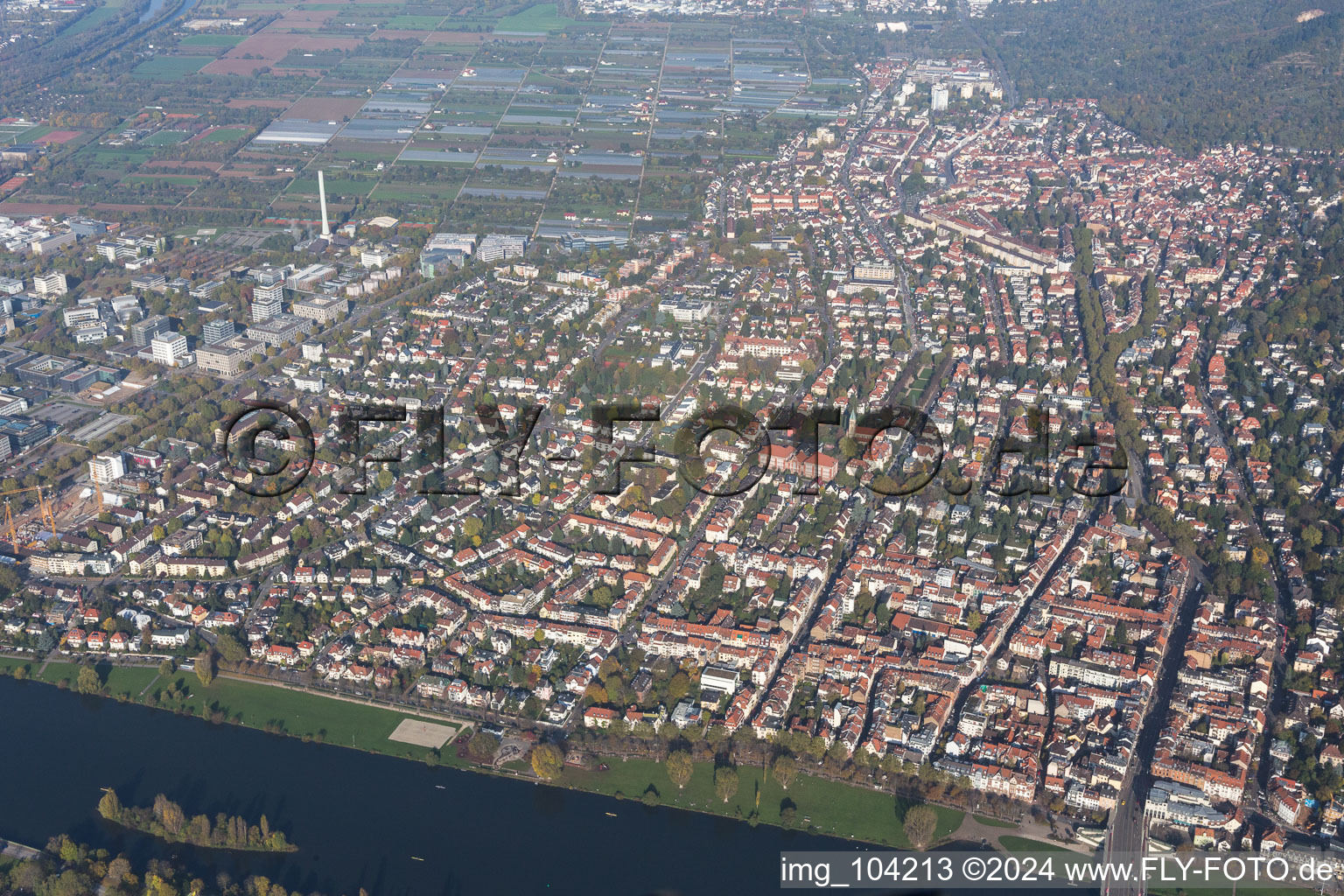 Vue aérienne de Quartier Neuenheim in Heidelberg dans le département Bade-Wurtemberg, Allemagne