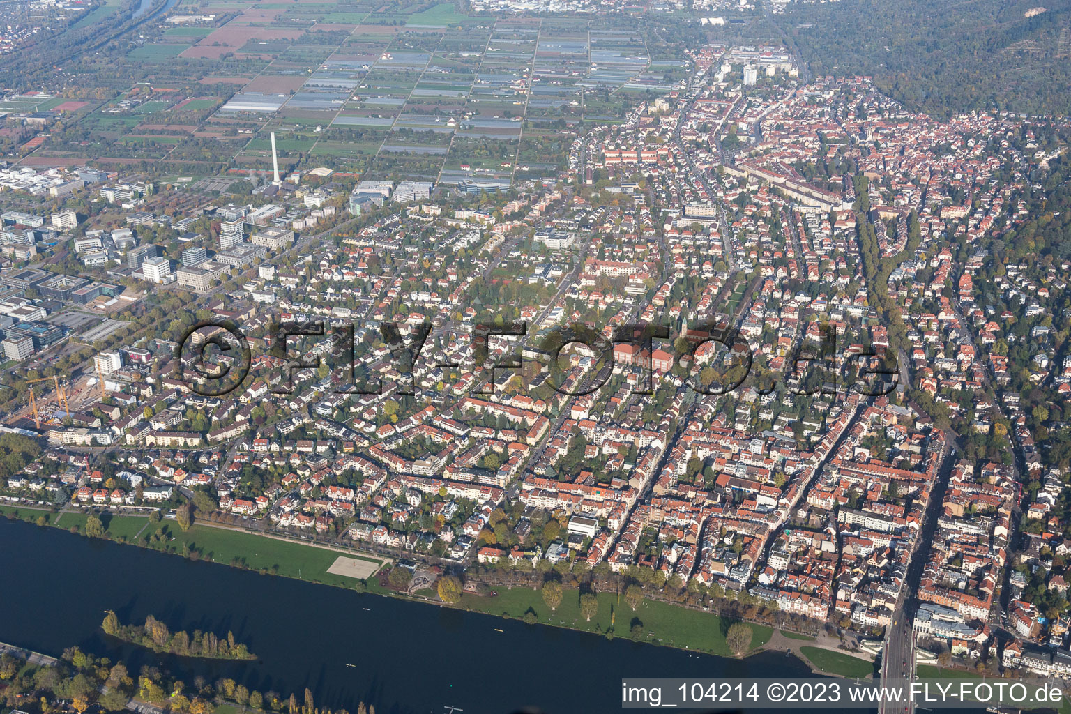 Vue aérienne de Quartier Neuenheim in Heidelberg dans le département Bade-Wurtemberg, Allemagne