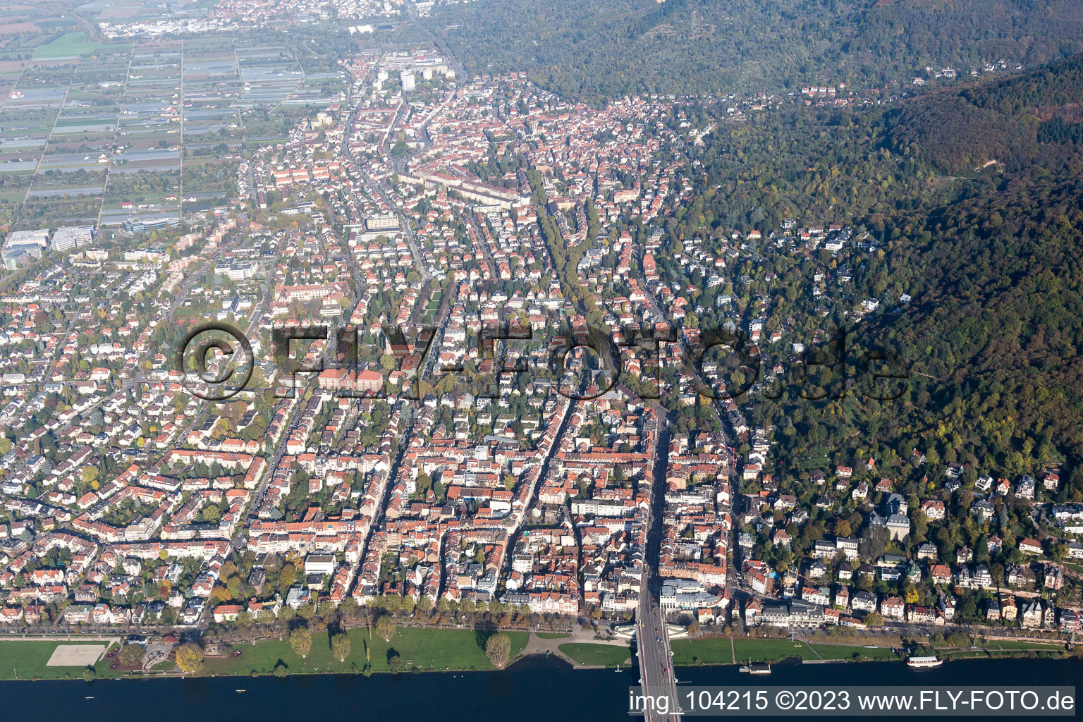 Photographie aérienne de Quartier Neuenheim in Heidelberg dans le département Bade-Wurtemberg, Allemagne