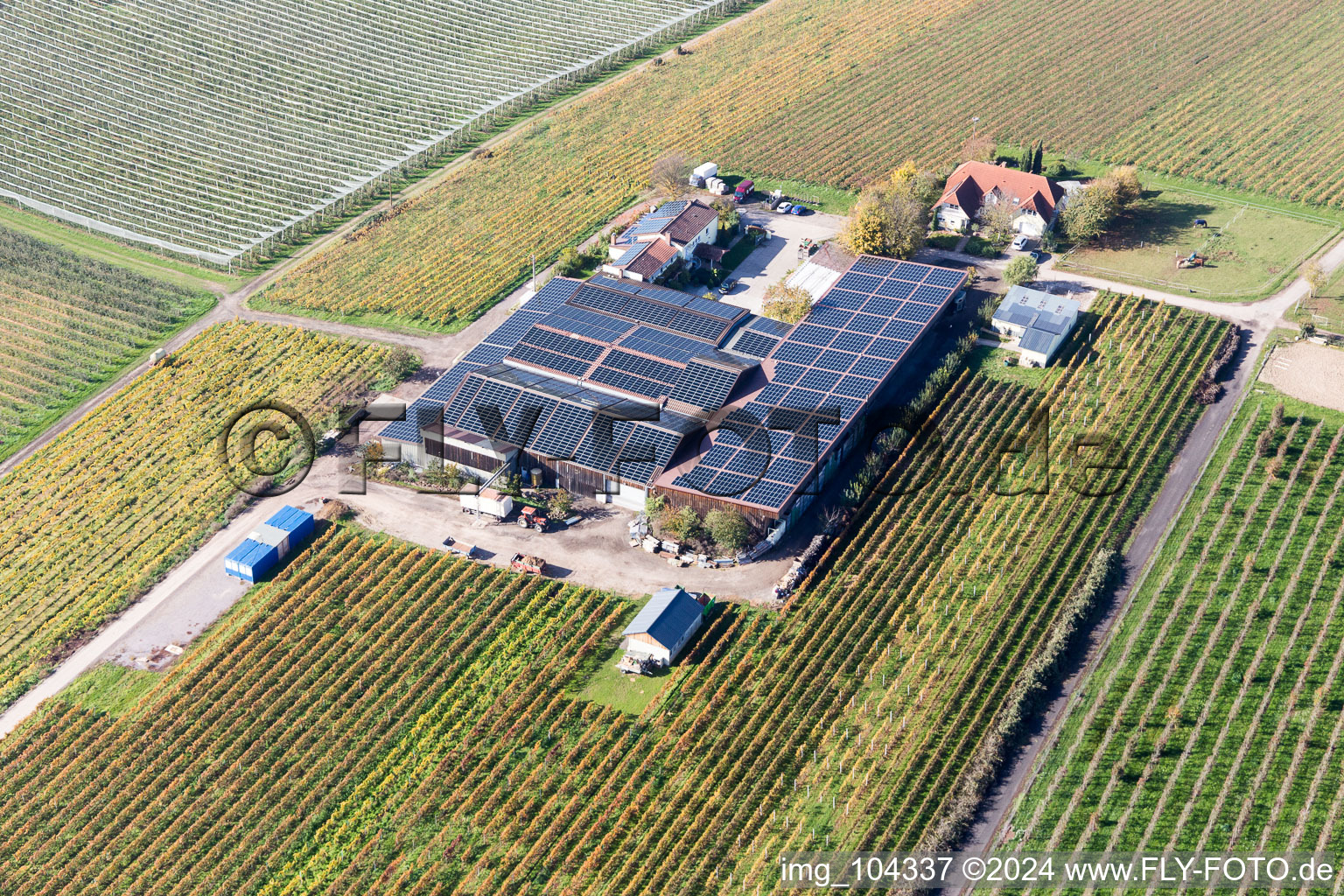 Impflingen dans le département Rhénanie-Palatinat, Allemagne depuis l'avion