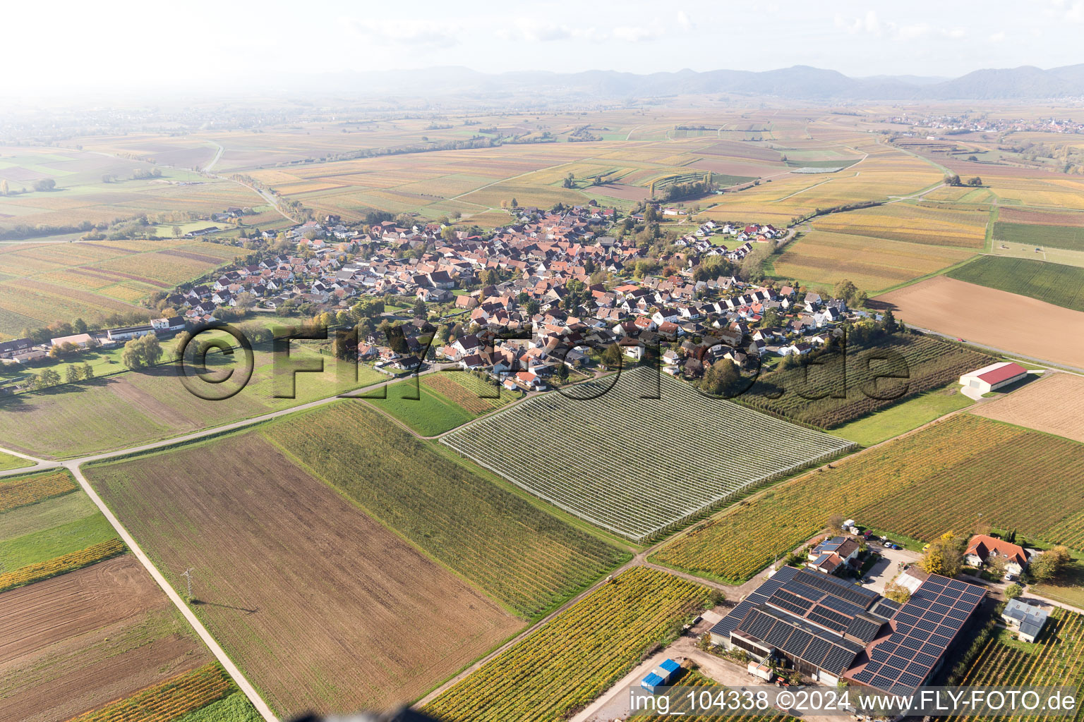 Vue d'oiseau de Impflingen dans le département Rhénanie-Palatinat, Allemagne