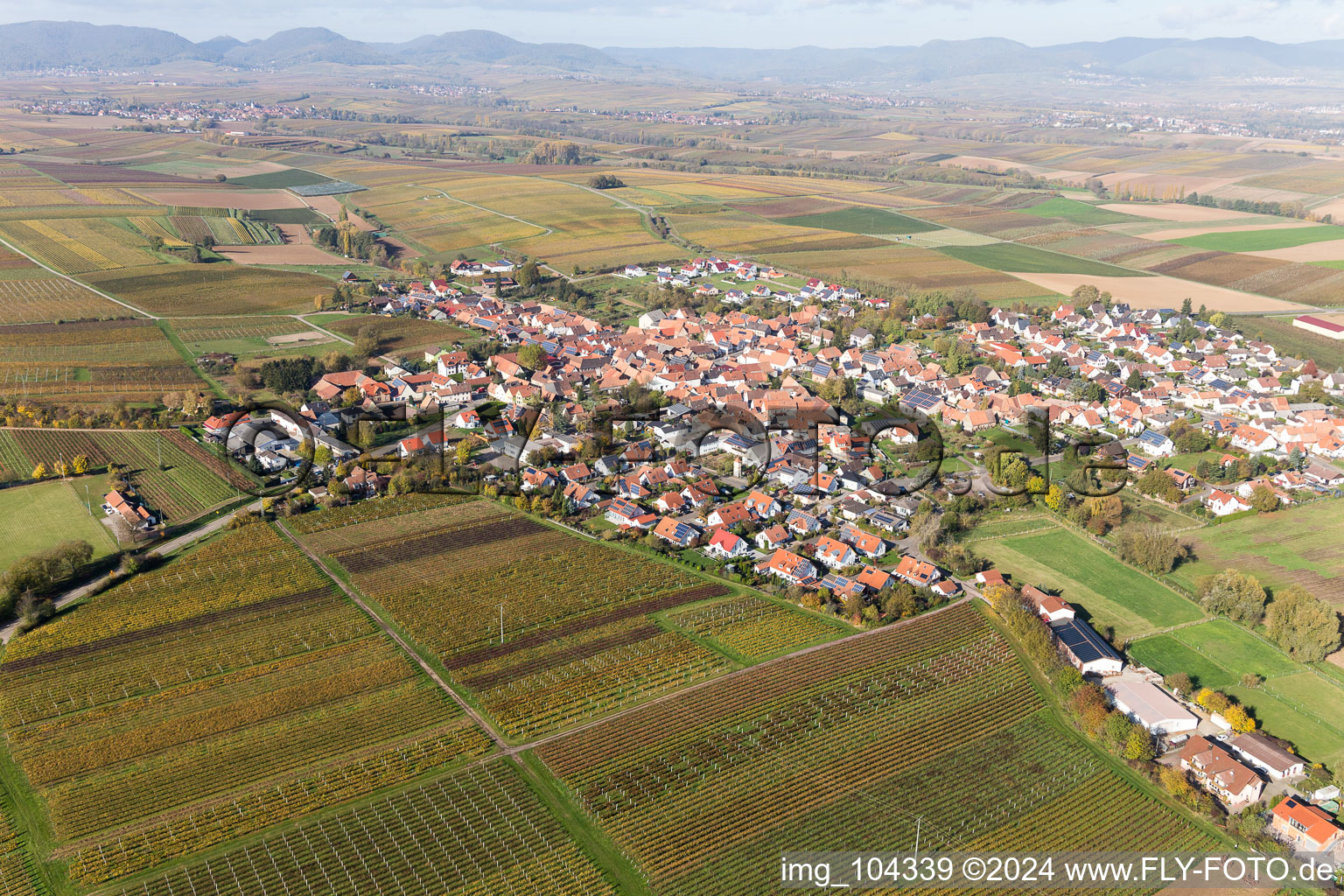 Impflingen dans le département Rhénanie-Palatinat, Allemagne vue du ciel