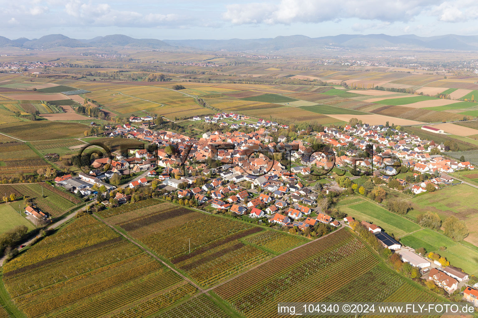 Enregistrement par drone de Impflingen dans le département Rhénanie-Palatinat, Allemagne