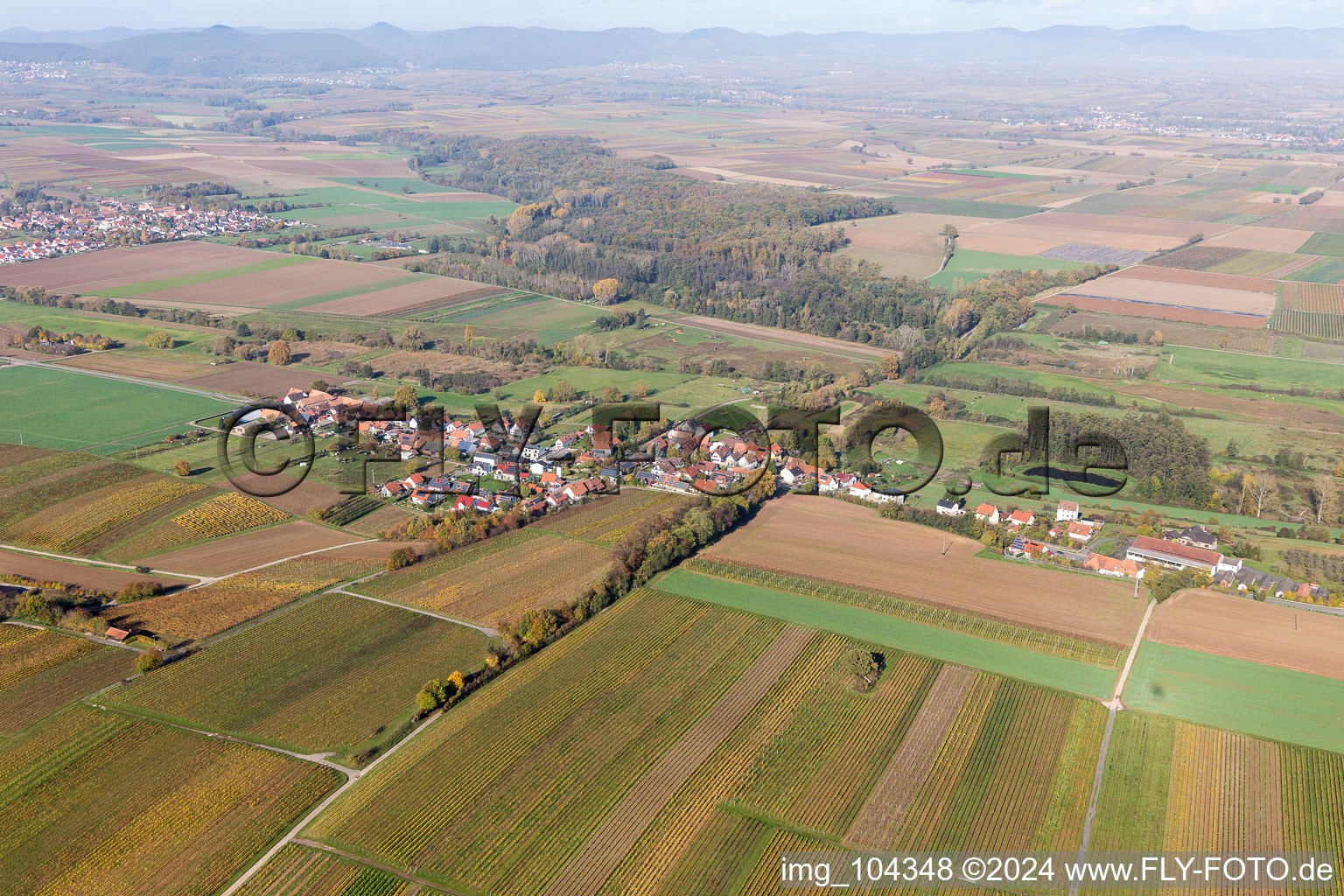 Hergersweiler dans le département Rhénanie-Palatinat, Allemagne d'en haut