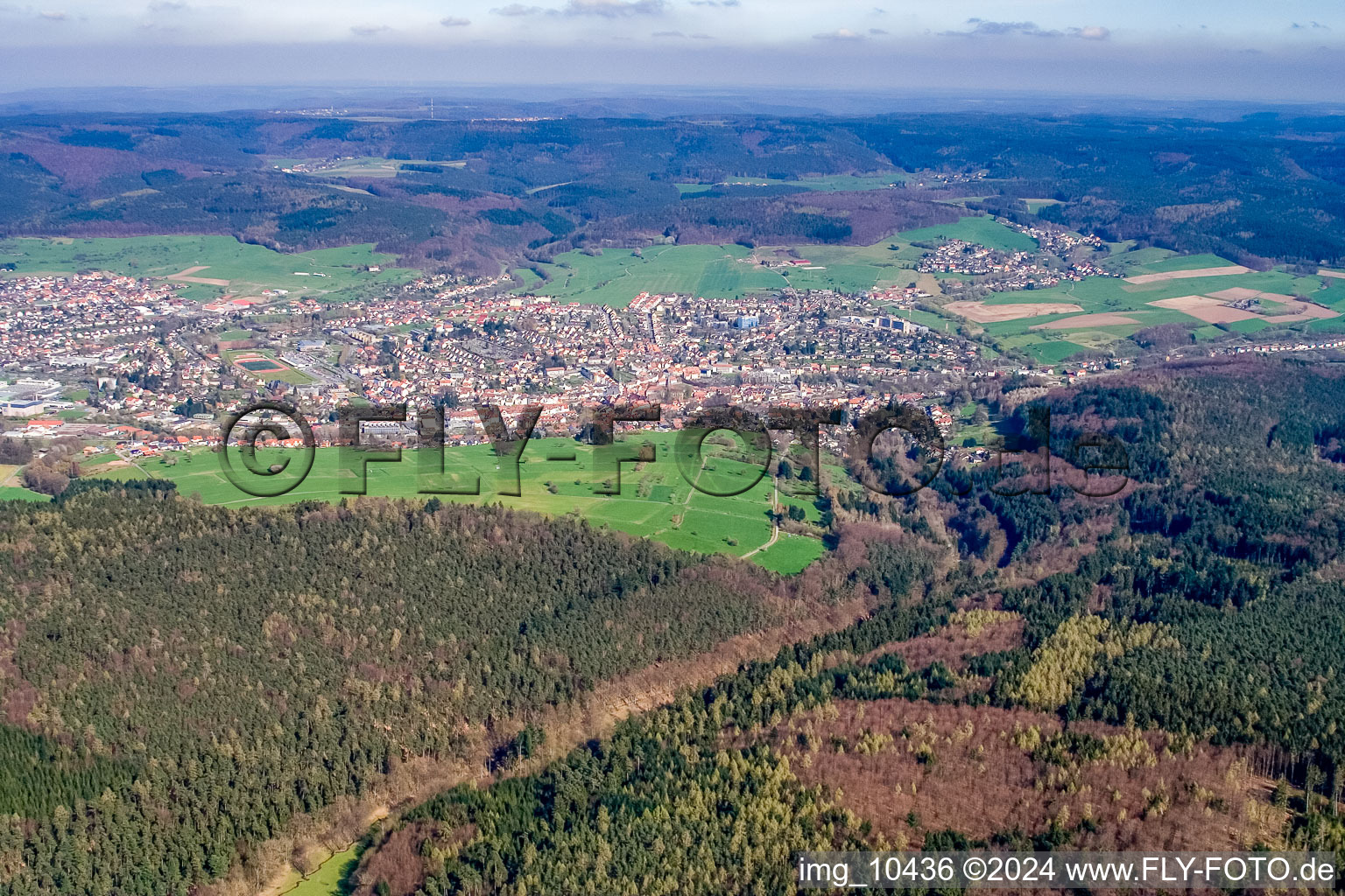 Vue aérienne de Quartier Lauerbach in Erbach dans le département Hesse, Allemagne