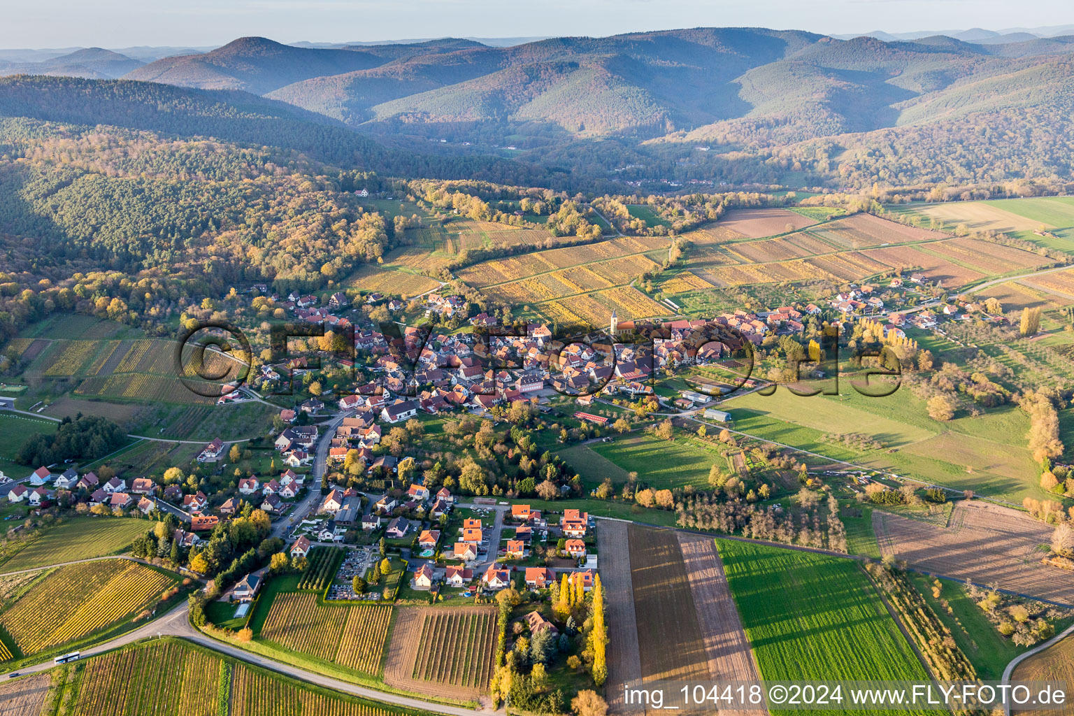 Vue aérienne de Vignobles à Rott dans le département Bas Rhin, France