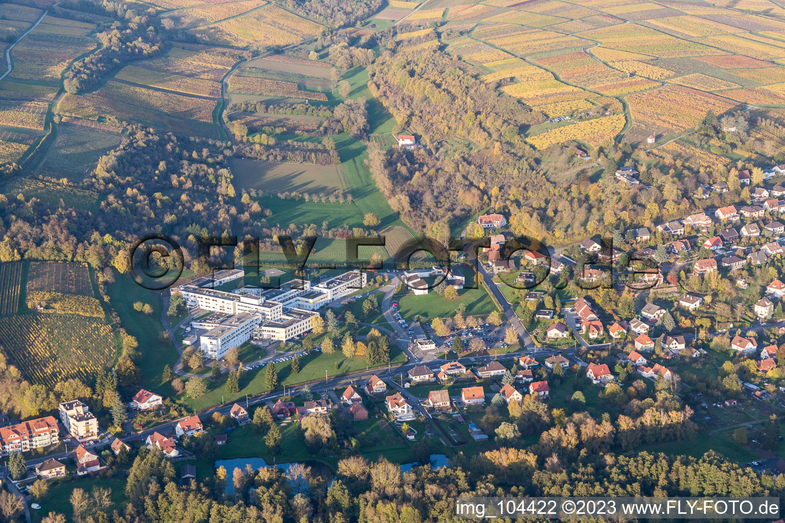 Wissembourg dans le département Bas Rhin, France vue du ciel
