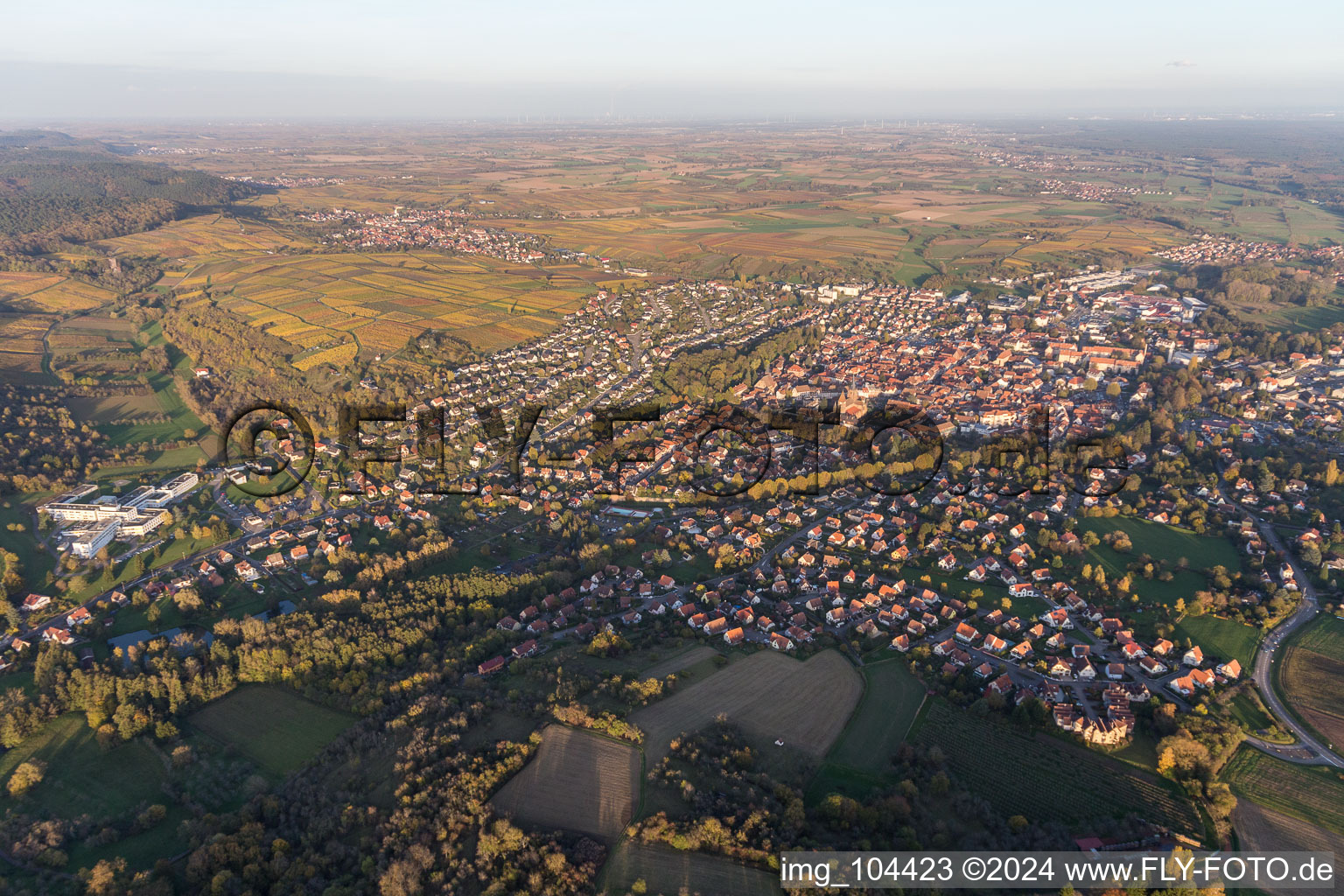 Vue aérienne de Vue de la ville face aux vignobles du Sonnenberg, des rues et des maisons des quartiers résidentiels à Wissembourg dans le département Bas Rhin, France