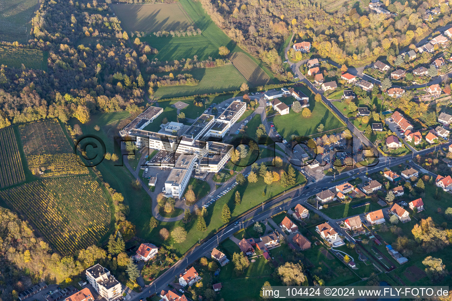 Photographie aérienne de Terrain hospitalier du Centre Hospitalier de la Lauter à Wissembourg dans le département Bas Rhin, France