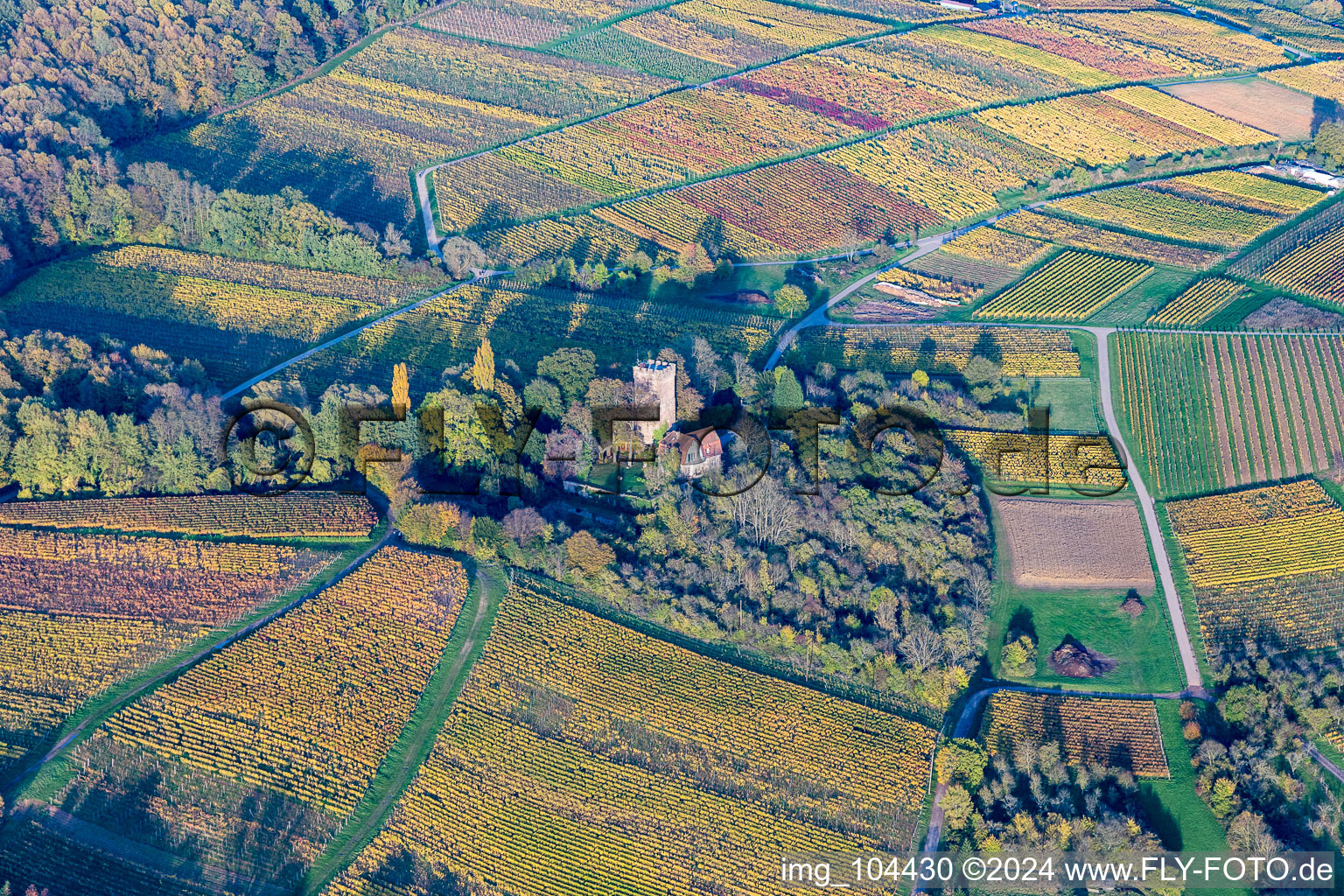 Vue aérienne de Bâtiments et parcs du manoir du Sonneberg à Wissembourg dans le département Bas Rhin, France