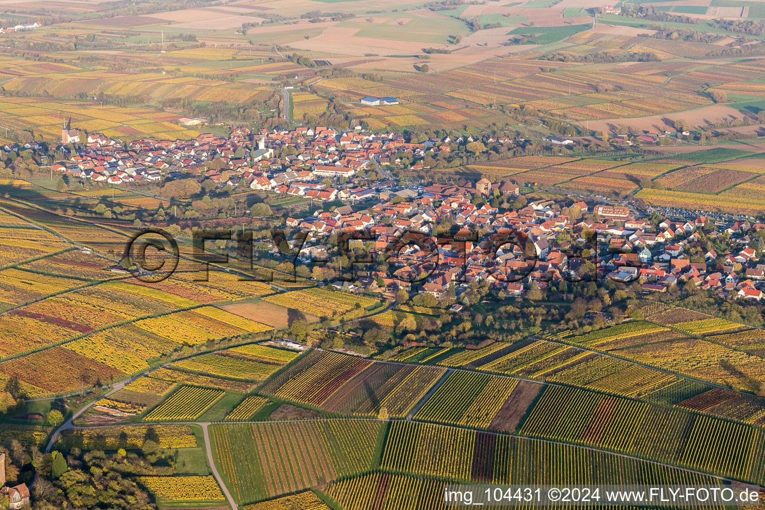 Vue aérienne de Vignobles en Schweigen à le quartier Schweigen in Schweigen-Rechtenbach dans le département Rhénanie-Palatinat, Allemagne