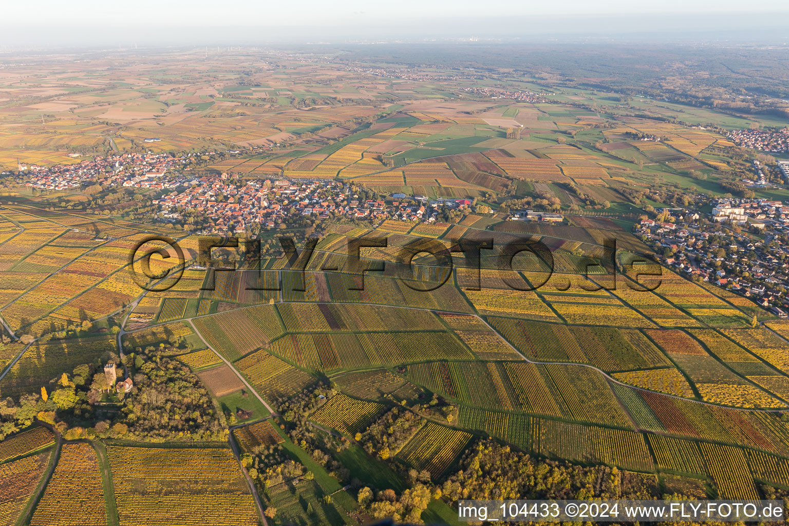 Vue aérienne de Vignobles Sonnenberg en Schweigen à le quartier Schweigen in Schweigen-Rechtenbach dans le département Rhénanie-Palatinat, Allemagne