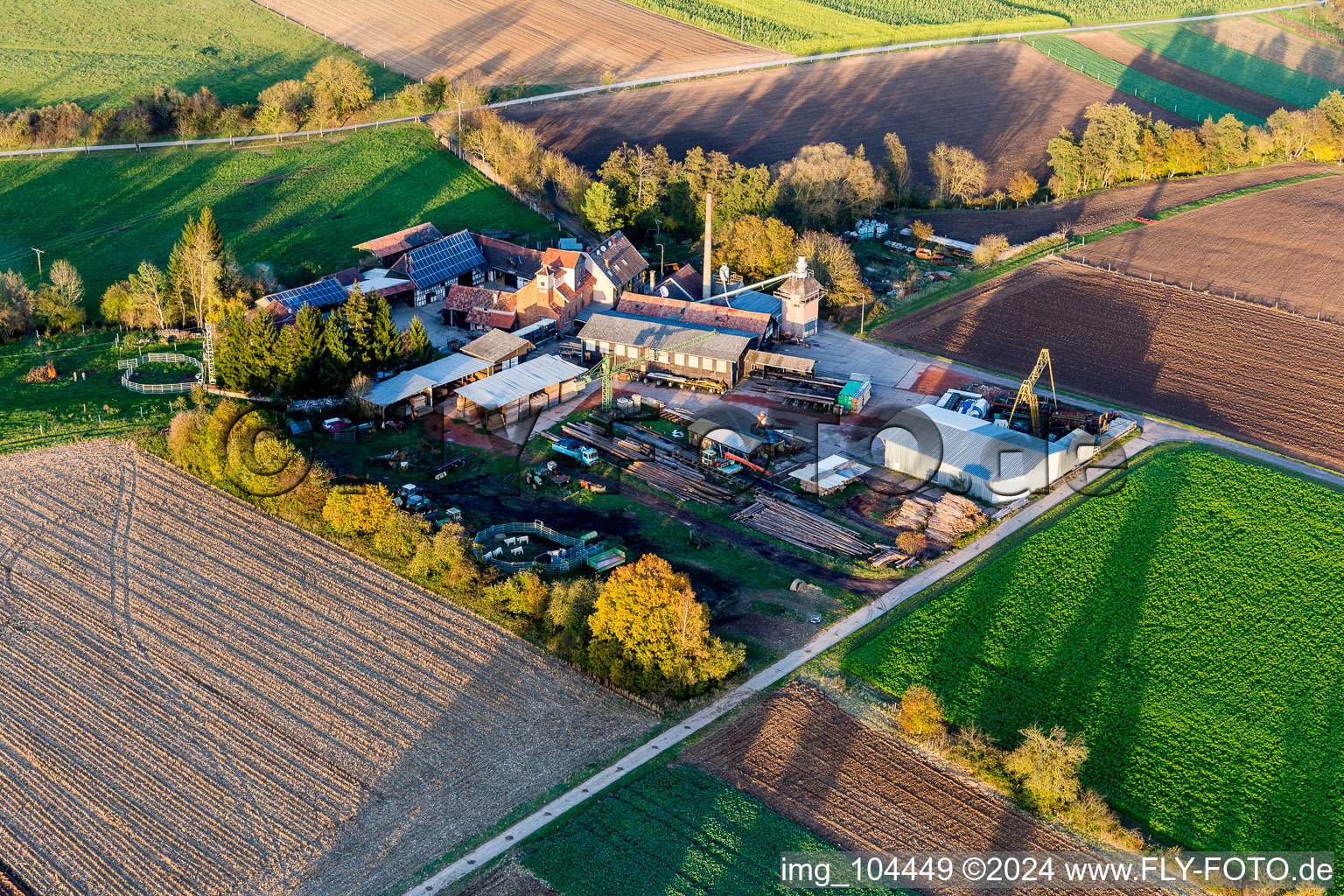 Enregistrement par drone de Quartier Schaidt in Wörth am Rhein dans le département Rhénanie-Palatinat, Allemagne