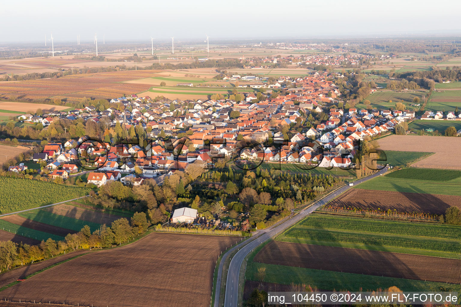 Freckenfeld dans le département Rhénanie-Palatinat, Allemagne depuis l'avion