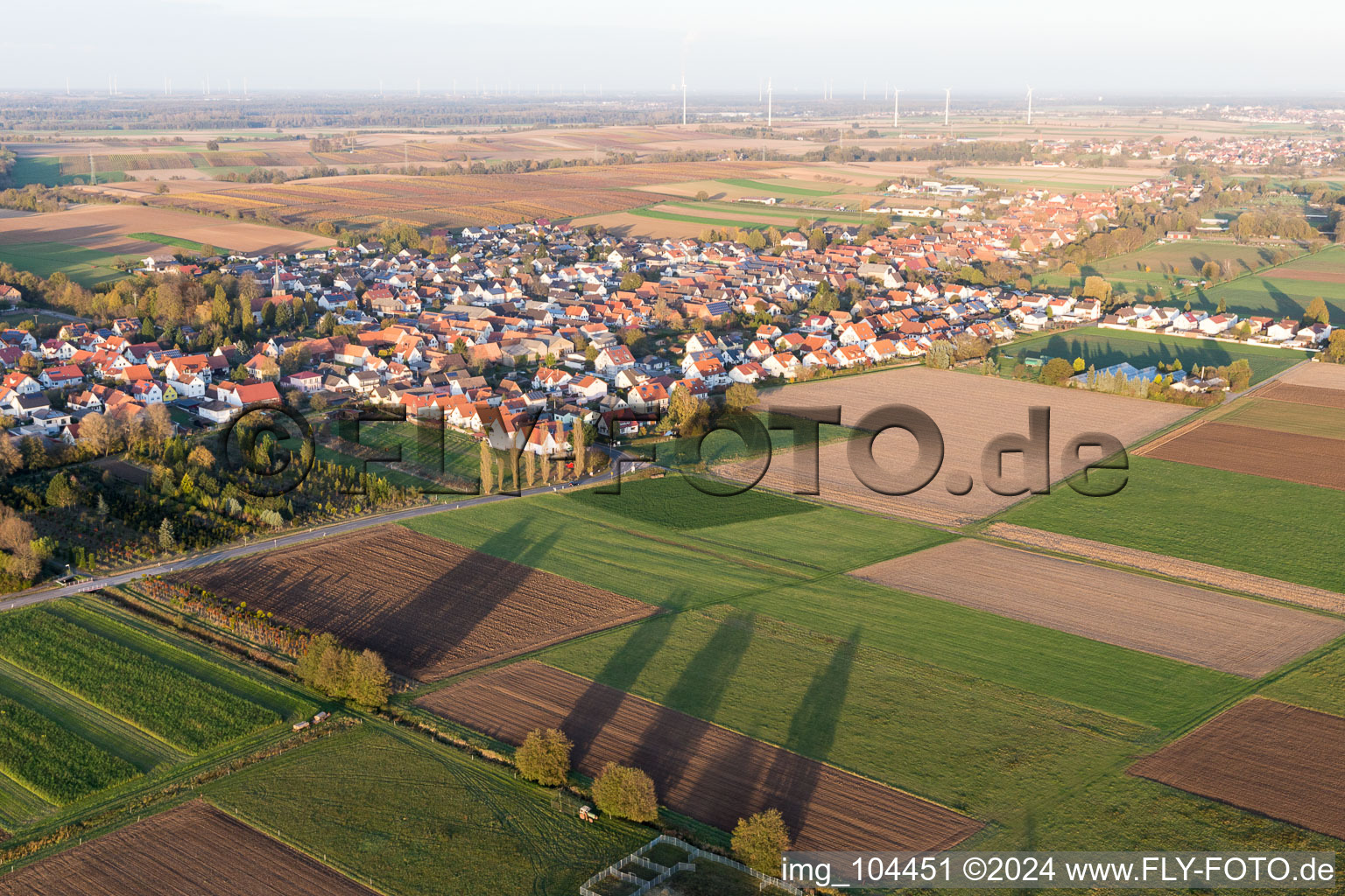 Vue d'oiseau de Freckenfeld dans le département Rhénanie-Palatinat, Allemagne