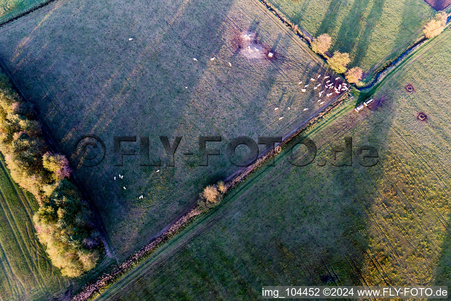 Freckenfeld dans le département Rhénanie-Palatinat, Allemagne vue du ciel