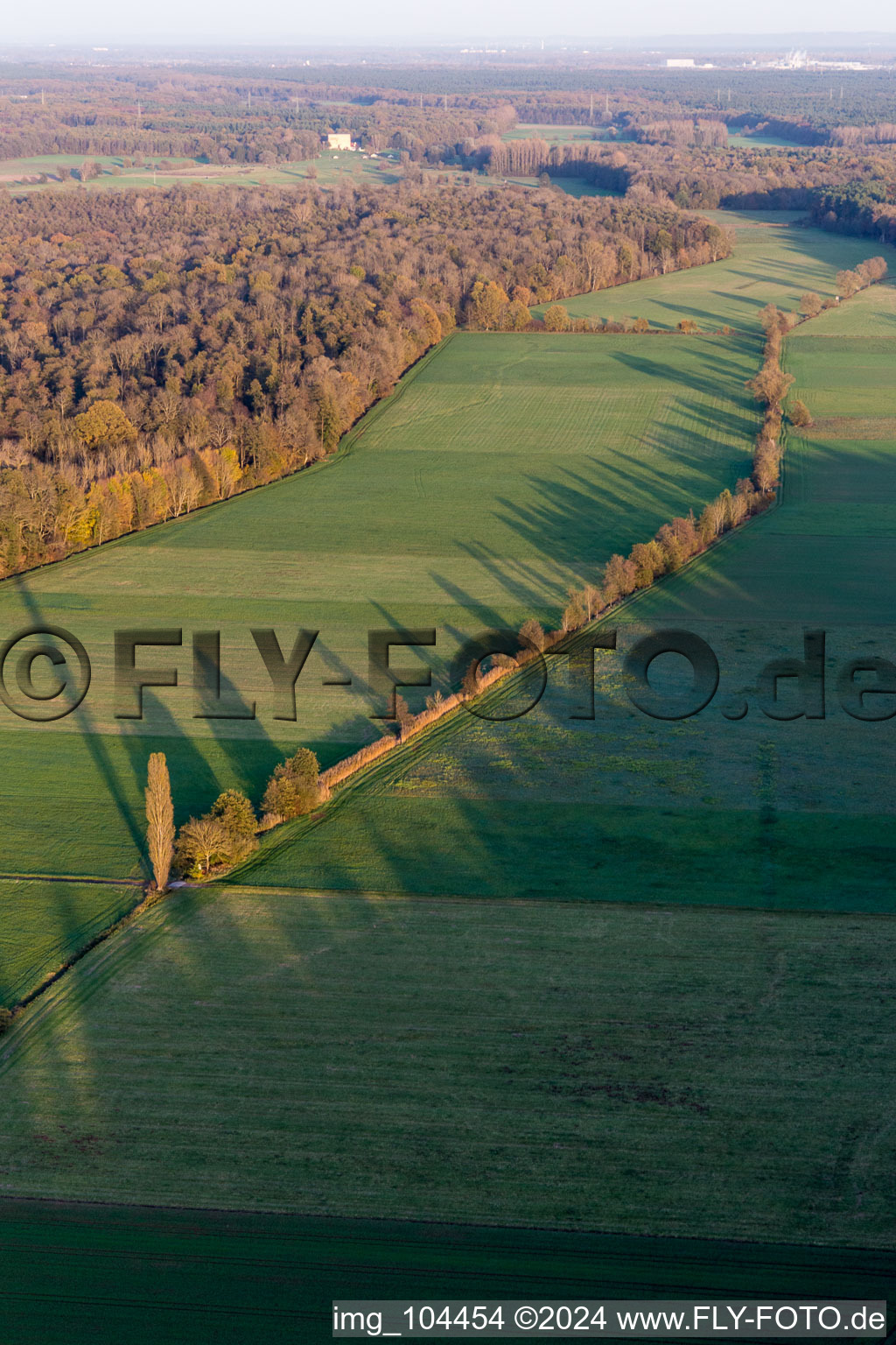 Enregistrement par drone de Freckenfeld dans le département Rhénanie-Palatinat, Allemagne