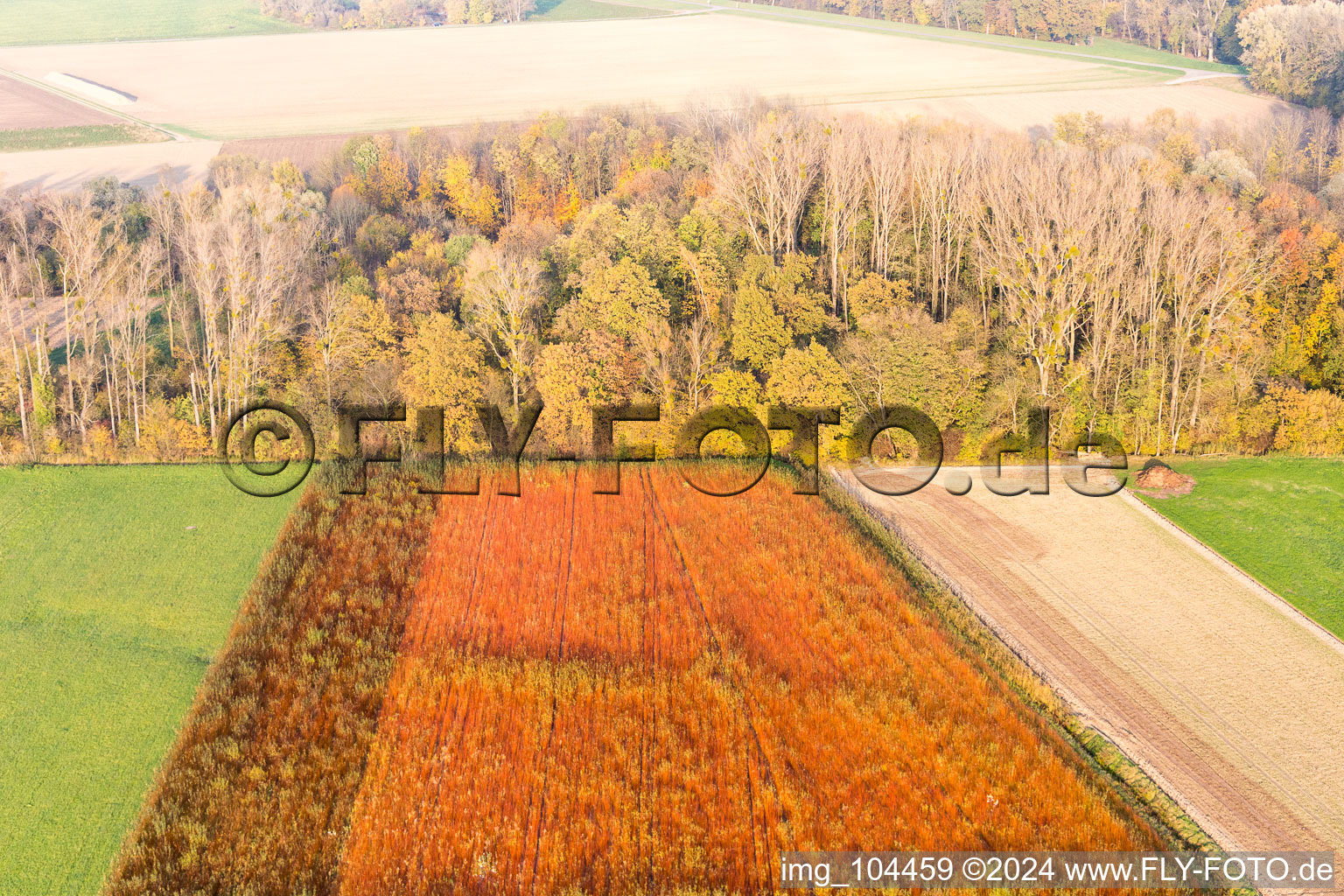 Neupotz dans le département Rhénanie-Palatinat, Allemagne vue d'en haut