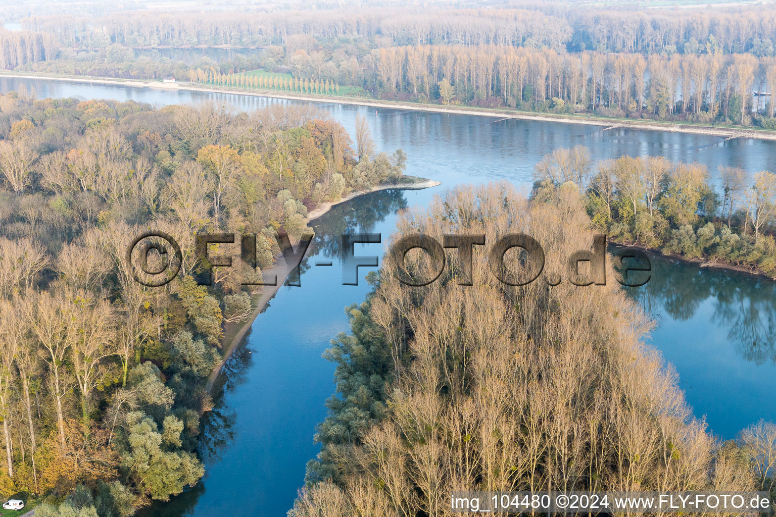 Vue d'oiseau de Leimersheim dans le département Rhénanie-Palatinat, Allemagne