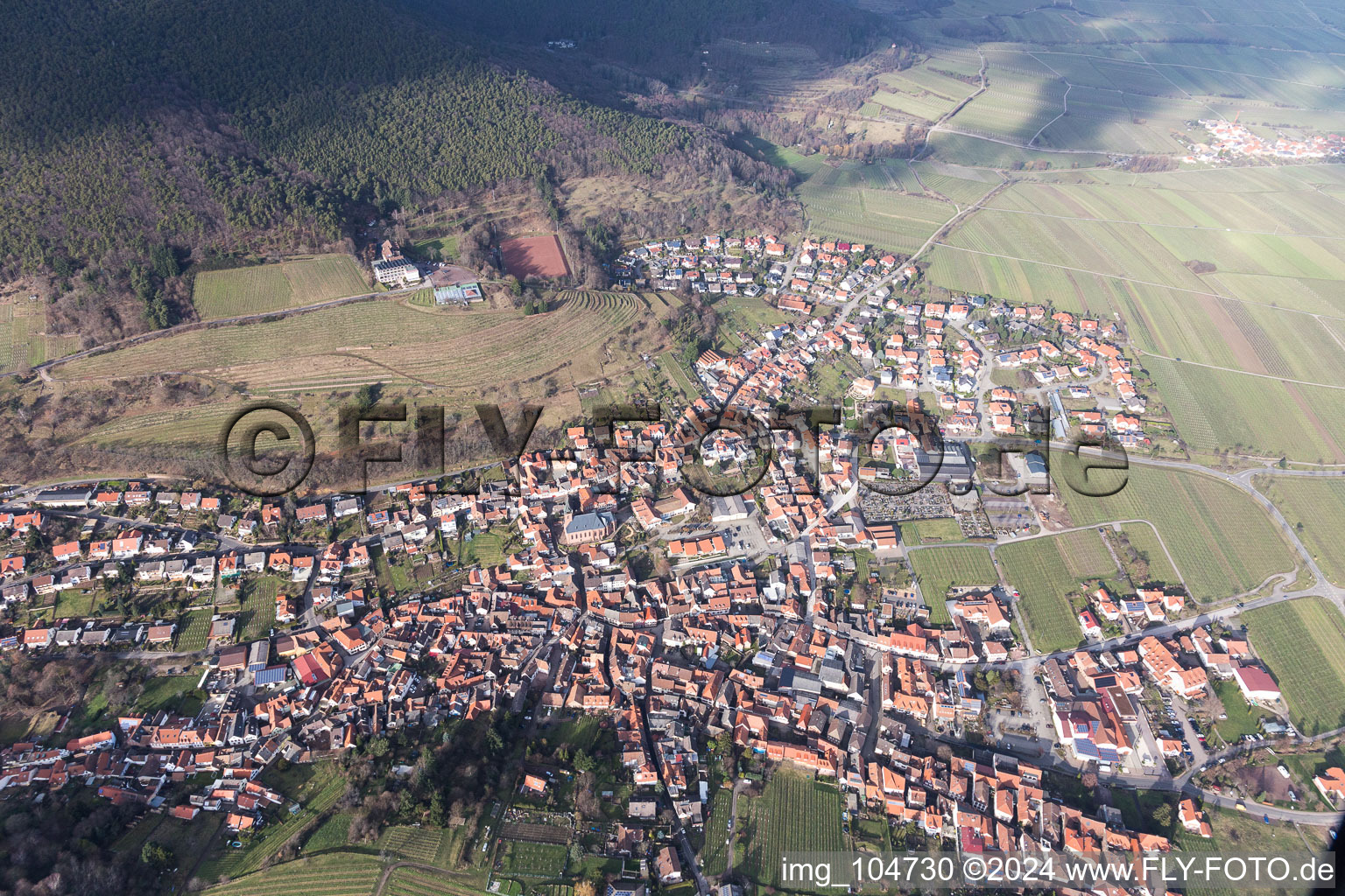 Sankt Martin dans le département Rhénanie-Palatinat, Allemagne vue du ciel