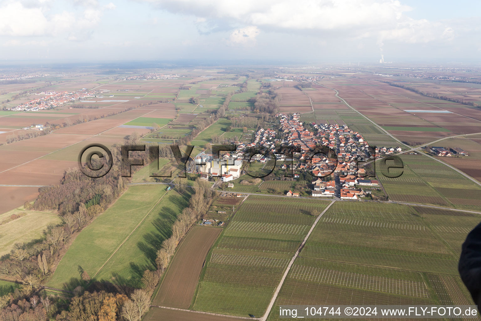 Vue aérienne de Freimersheim dans le département Rhénanie-Palatinat, Allemagne