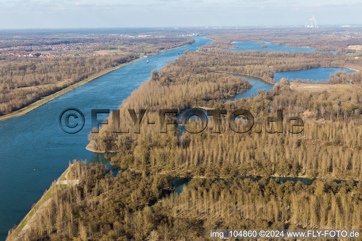 Vue aérienne de Plaines inondables du Rhin avec forêt de saules blancs à le quartier Plittersdorf in Rastatt dans le département Bade-Wurtemberg, Allemagne