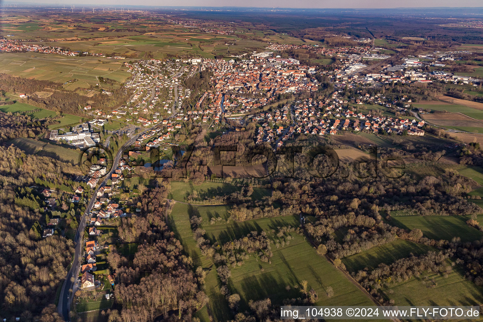 Photographie aérienne de Wissembourg dans le département Bas Rhin, France