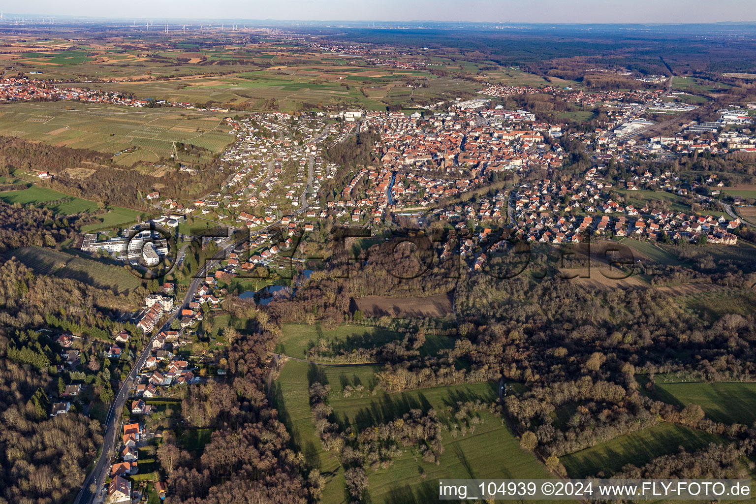 Vue aérienne de Vue des rues et des maisons des quartiers résidentiels à Wissembourg dans le département Bas Rhin, France