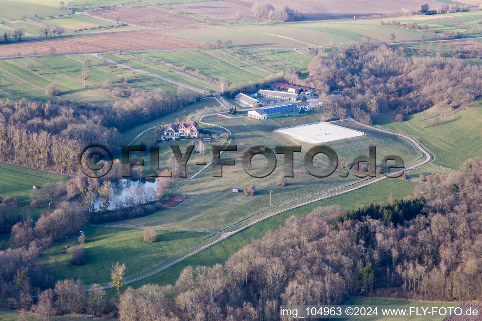 Am Froeschenberg, Haras Lerchenberg à Gundershoffen dans le département Bas Rhin, France hors des airs