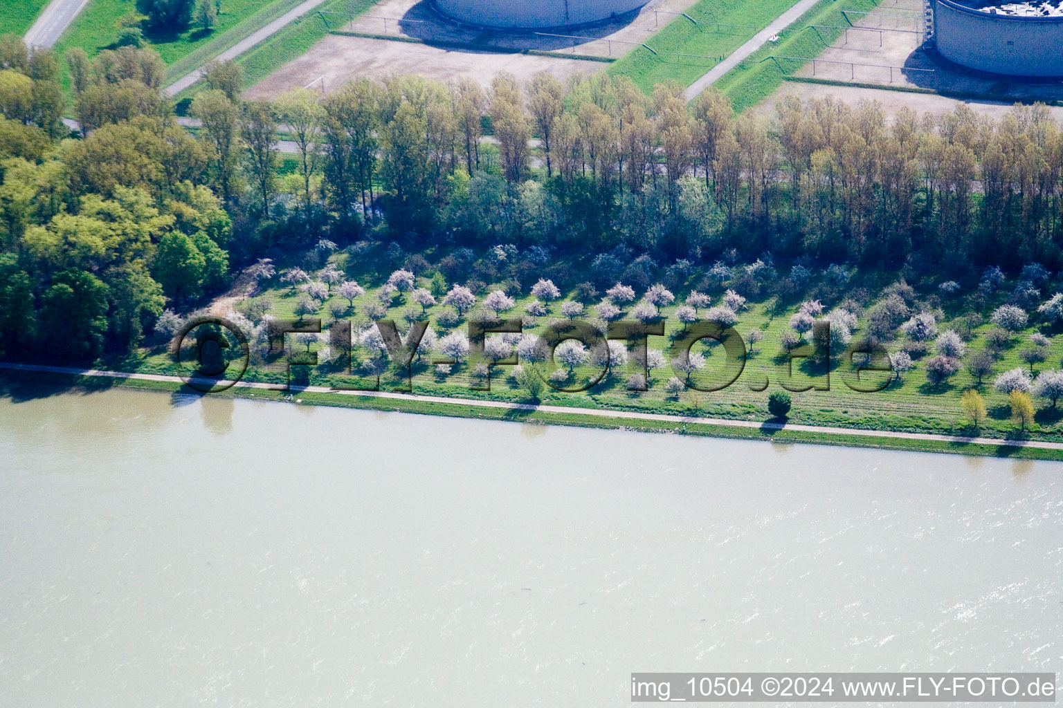 Vue aérienne de Bord du Rhin à le quartier Knielingen in Karlsruhe dans le département Bade-Wurtemberg, Allemagne